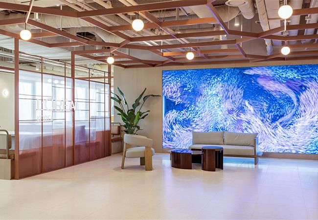 合肥辦公室裝修，將引領企業走向更加創新和可持續發展的未來